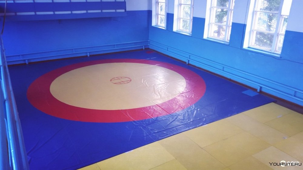 Борцовский ковер самбо