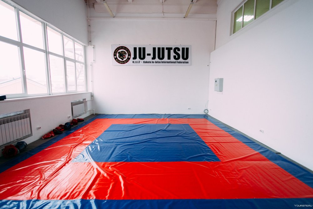 Борцовский ковер на аву