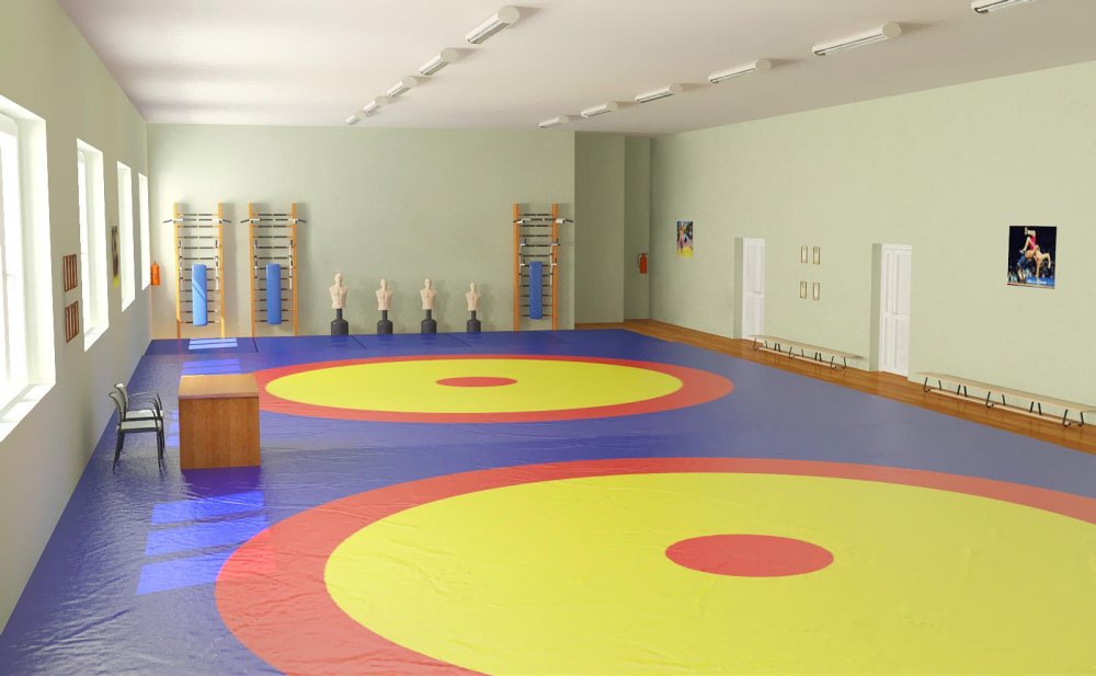 Борцовский ковер греко-Римская