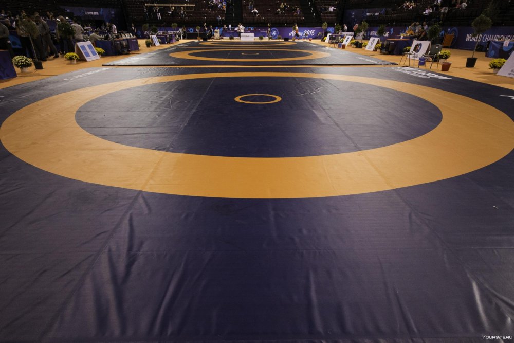 Олимпийский ковер борцовский Олимпийский