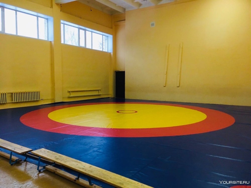 Борцовский зал в ВЛГУ