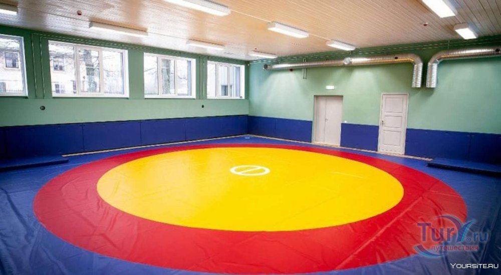 Татами для единоборств Judo+ППЭ