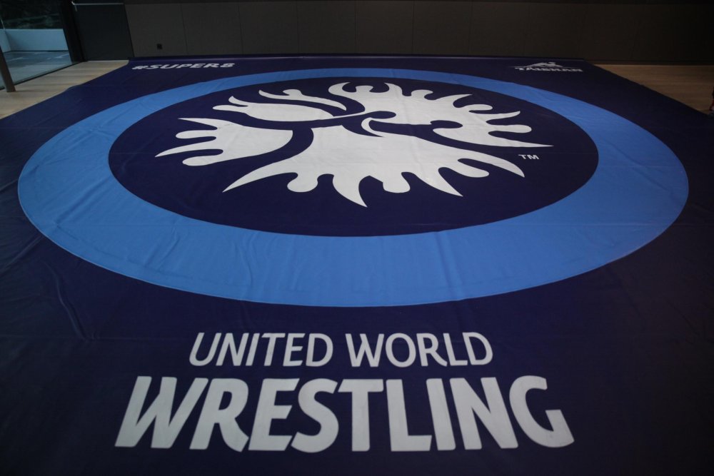 Логотип борцовский ковер