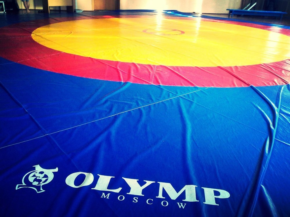 Вольная борьба надпись