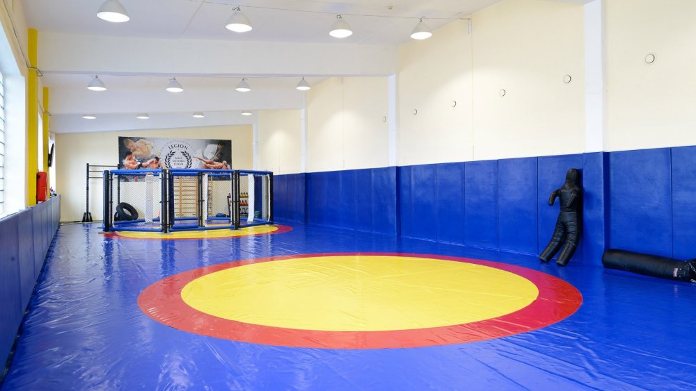 Зал единоборств