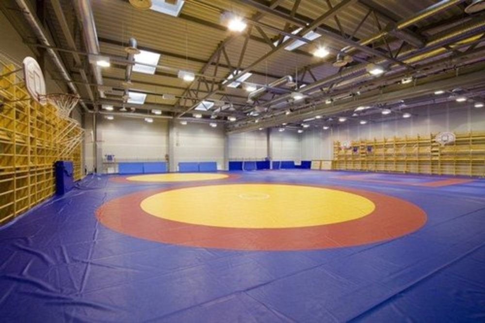 Ринг для борьбы