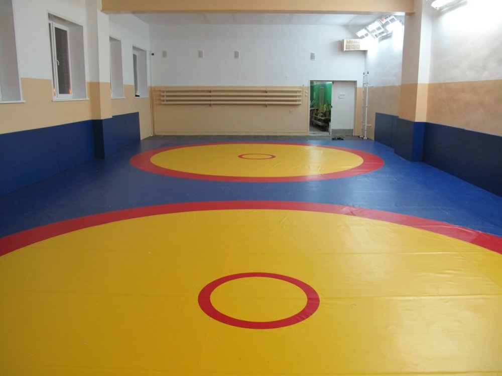 Борцовский ковер Вольная борьба