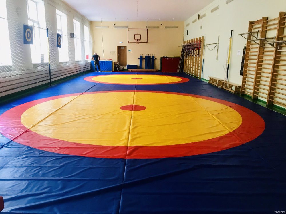 Борцовский ковер