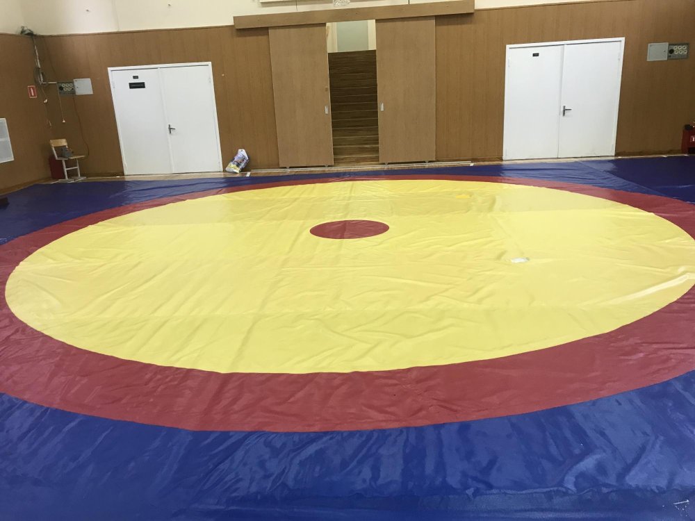 Современный зал борьбы