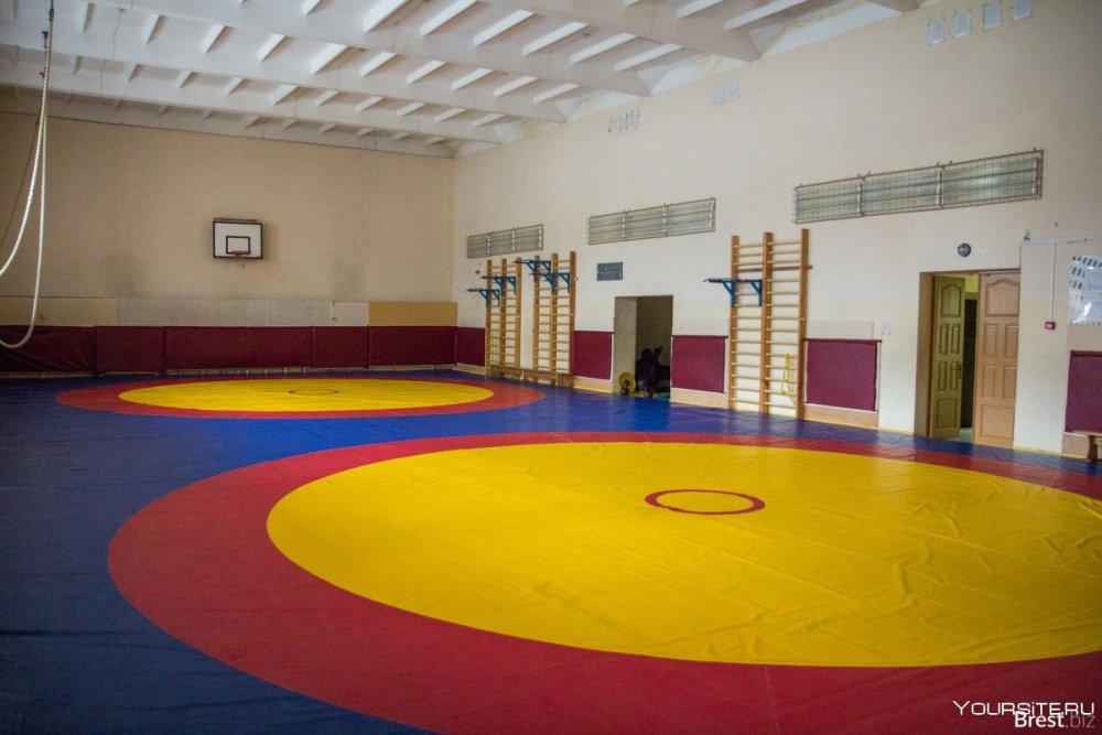 Ковер борцовский для вольной и греко-римской борьбы