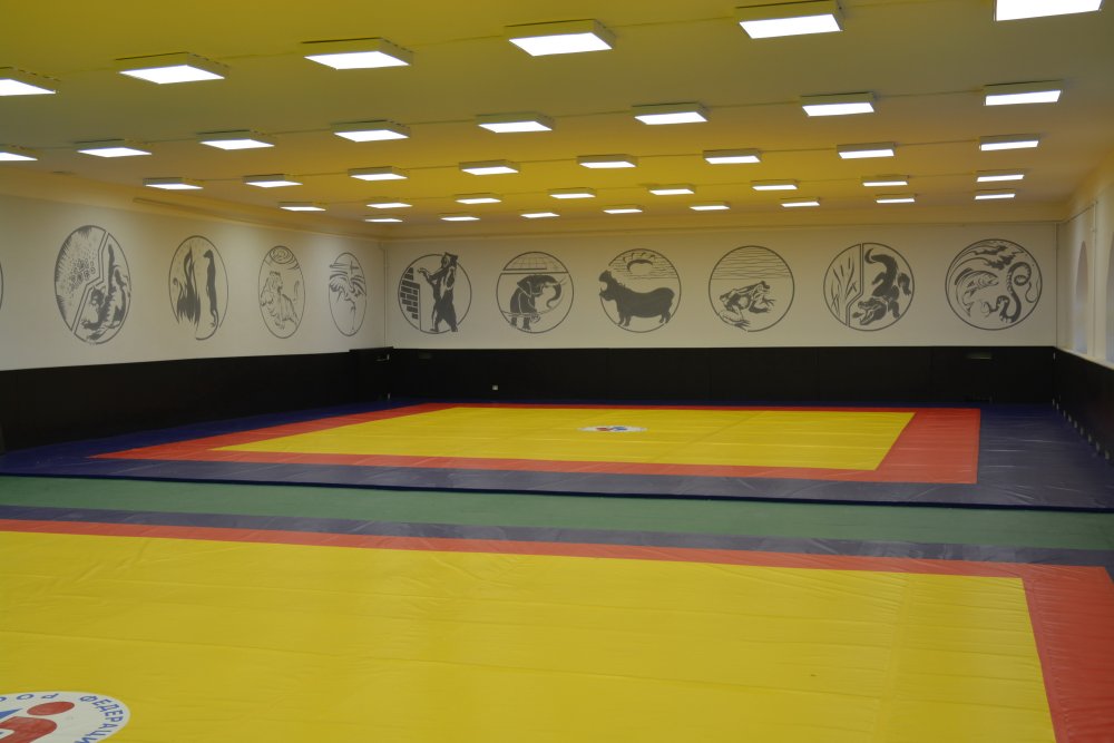 Татами для каратэ WKF