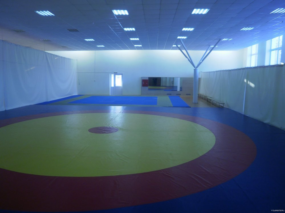 Борцовский ковер с люверсами