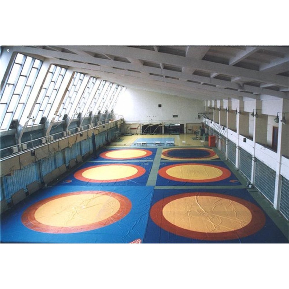 Ковёр борцовский 12х12х0,05м, пл.140кг/м3 (НПЭ, трёхцветный)