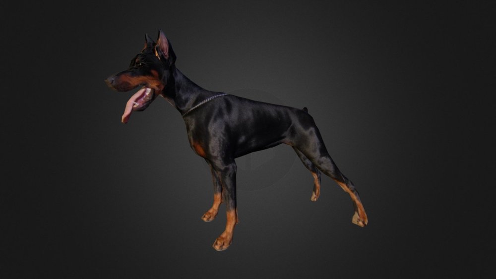 Цербер Доберман