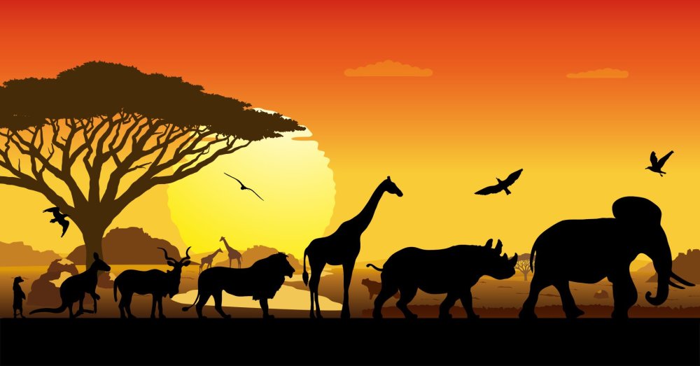 Животные саванны вектор