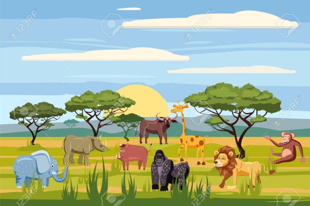 Закат в саванне