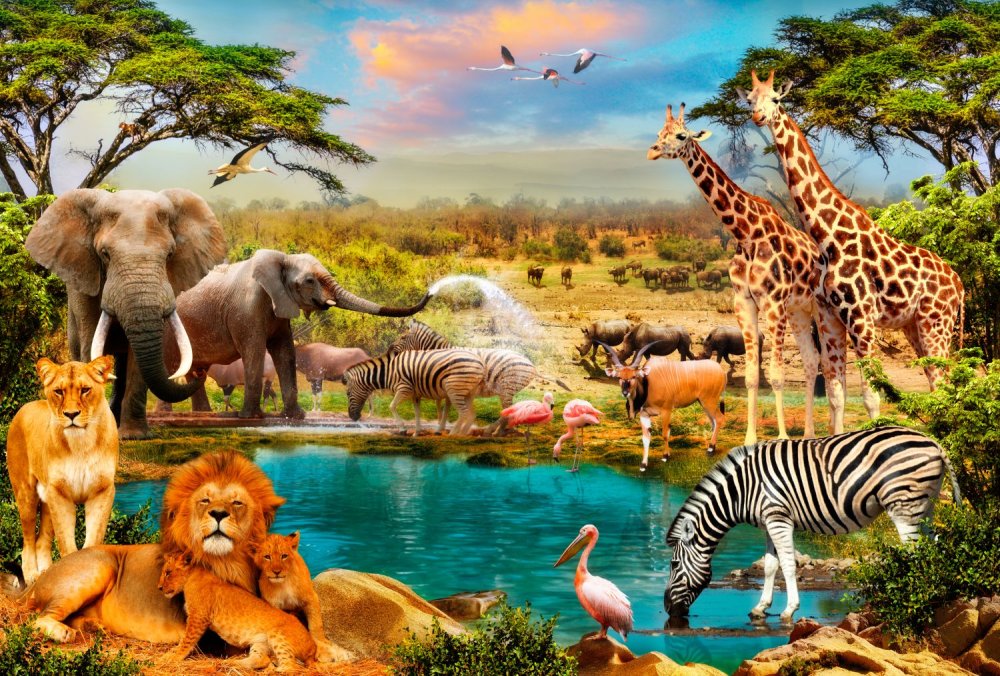 Фотообои животные