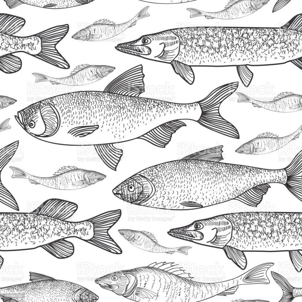 Речная рыба Графика