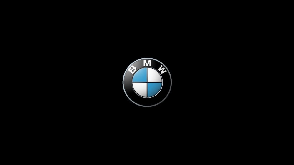 BMW logo 2000