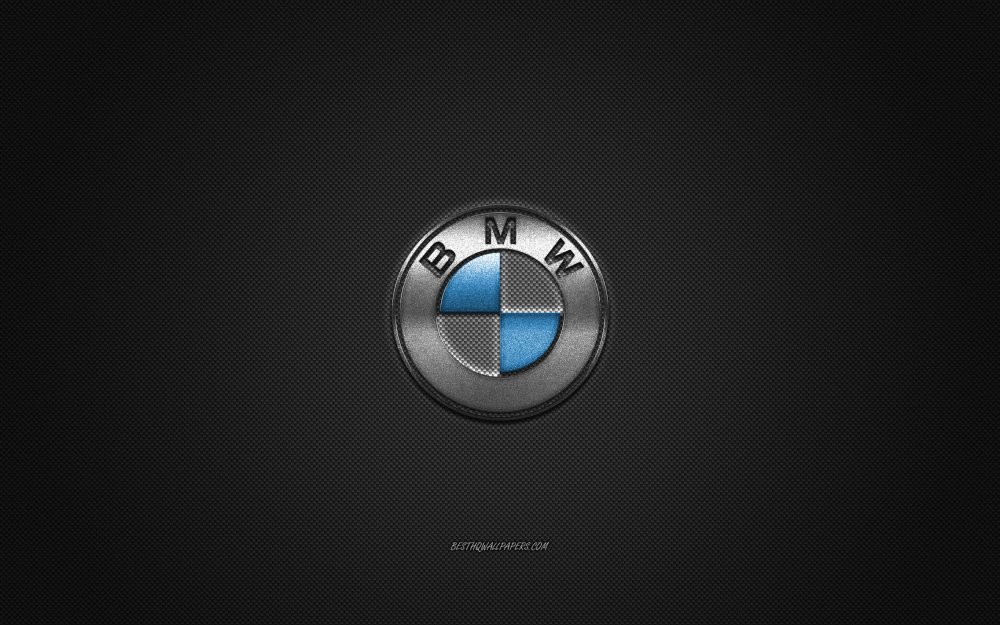 BMW logo Silver