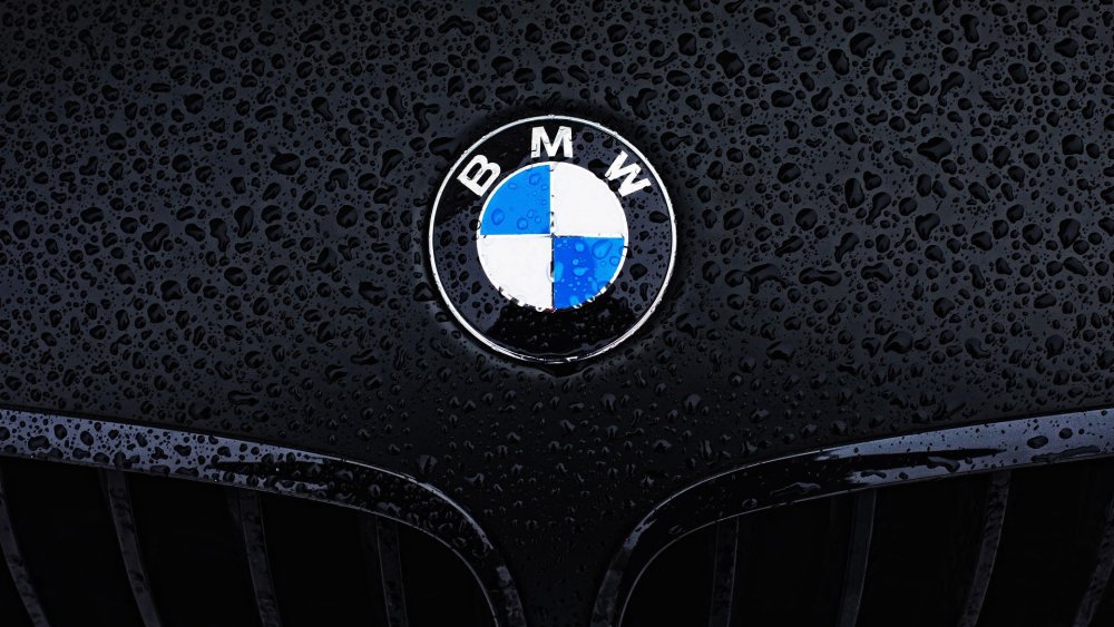BMW logo e53