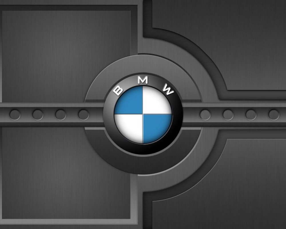 BMW logo 2-21