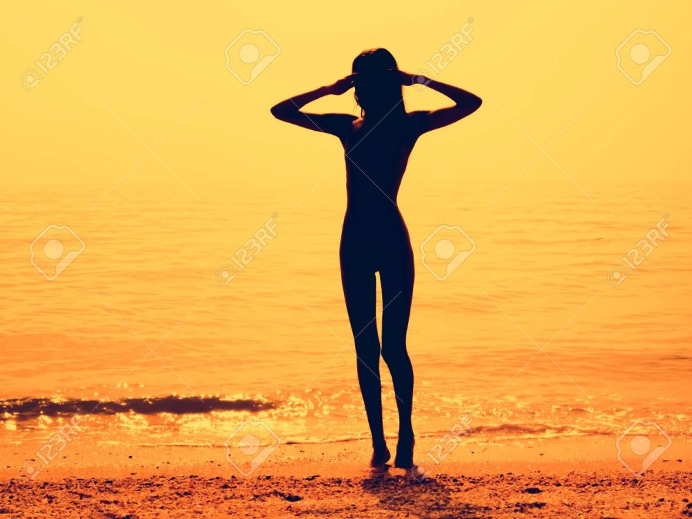 Женское тело силуэт вектор