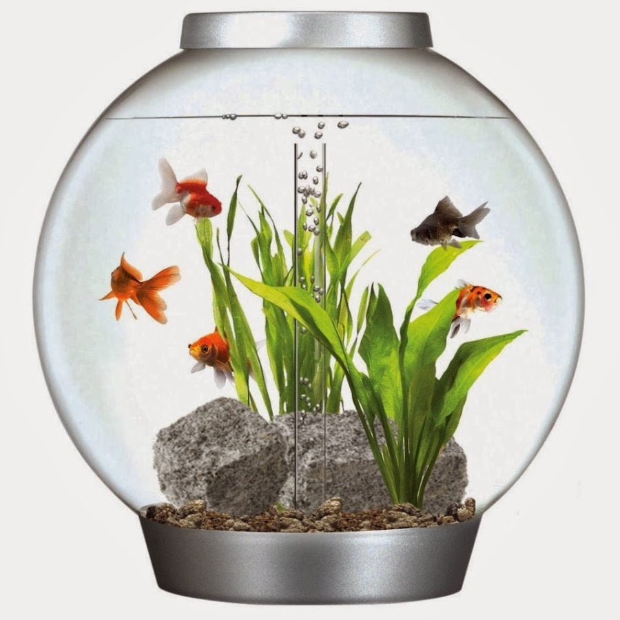 Круглый аквариум в интерьере