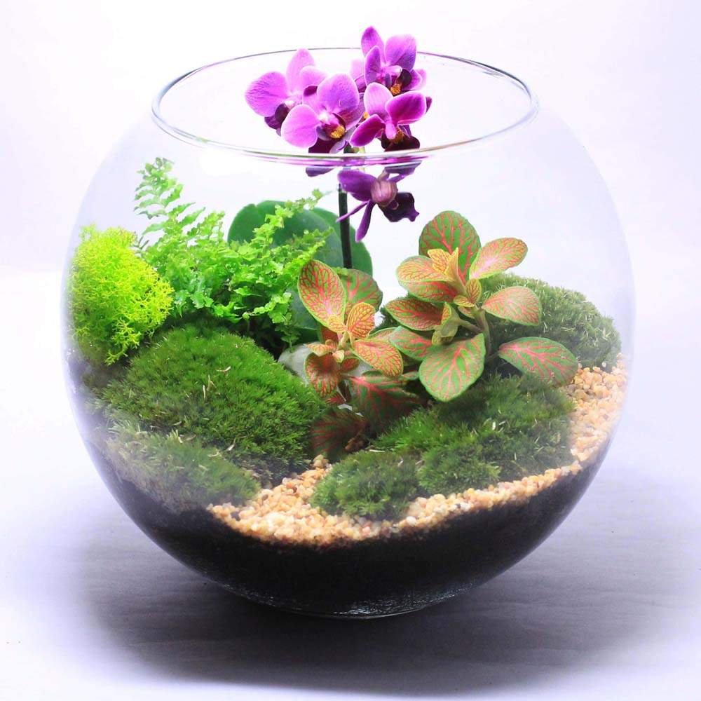 Аквариум BIORB Classic