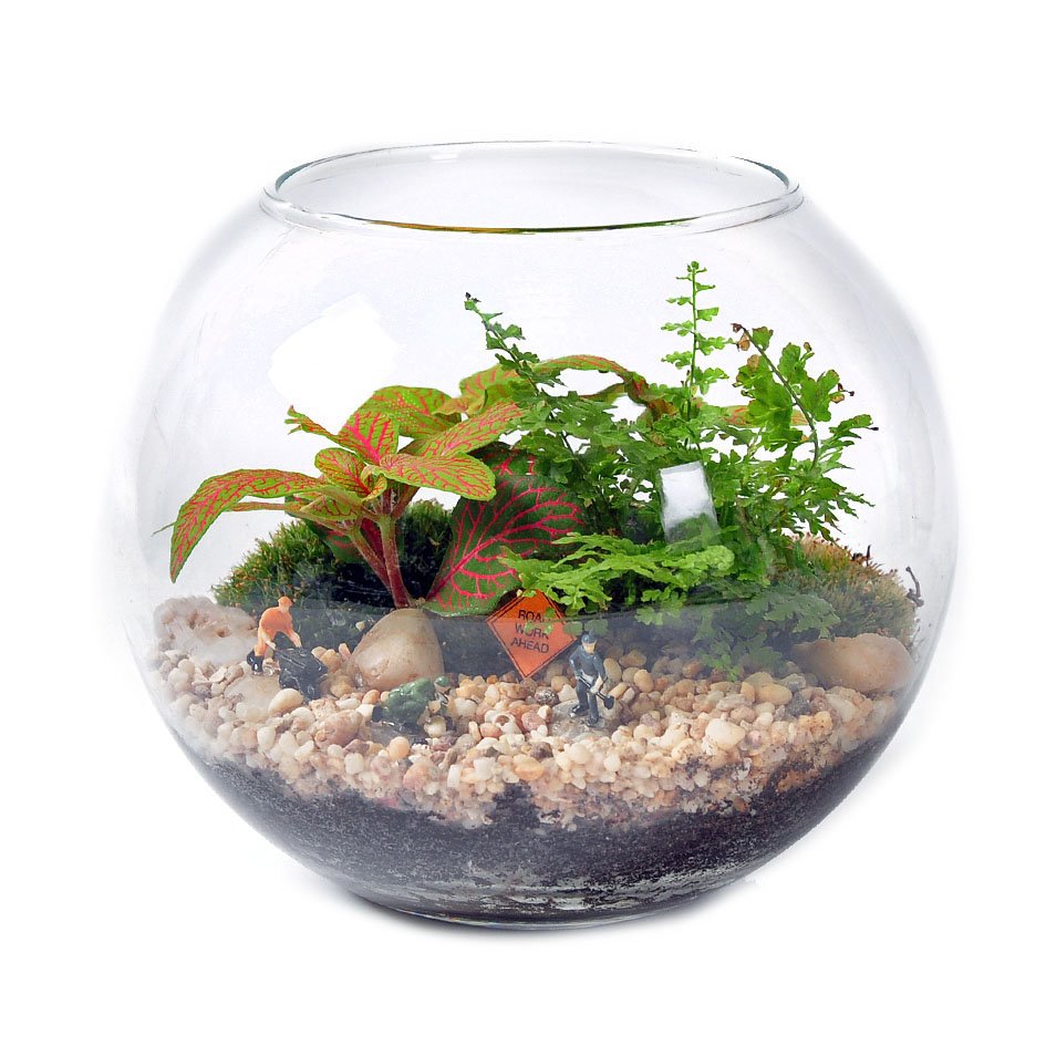 Аквариум BIORB Classic