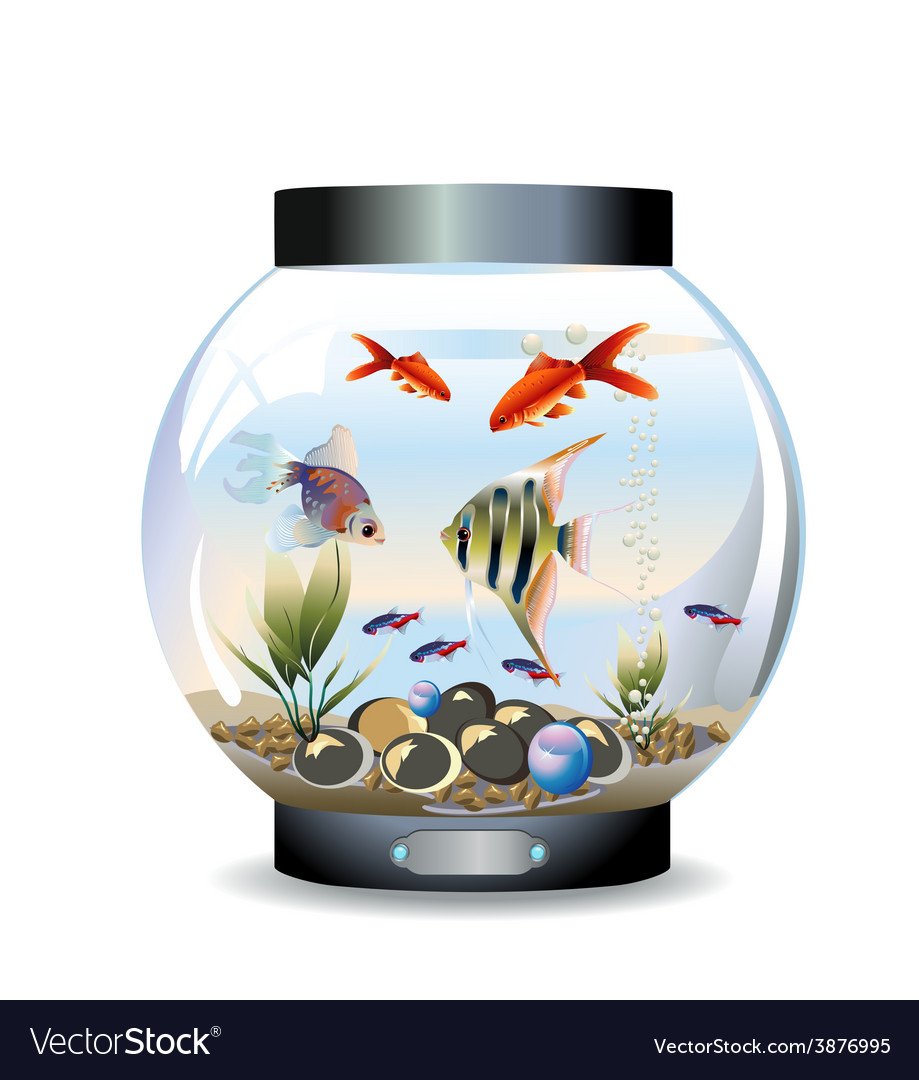 Круглый аквариум арт