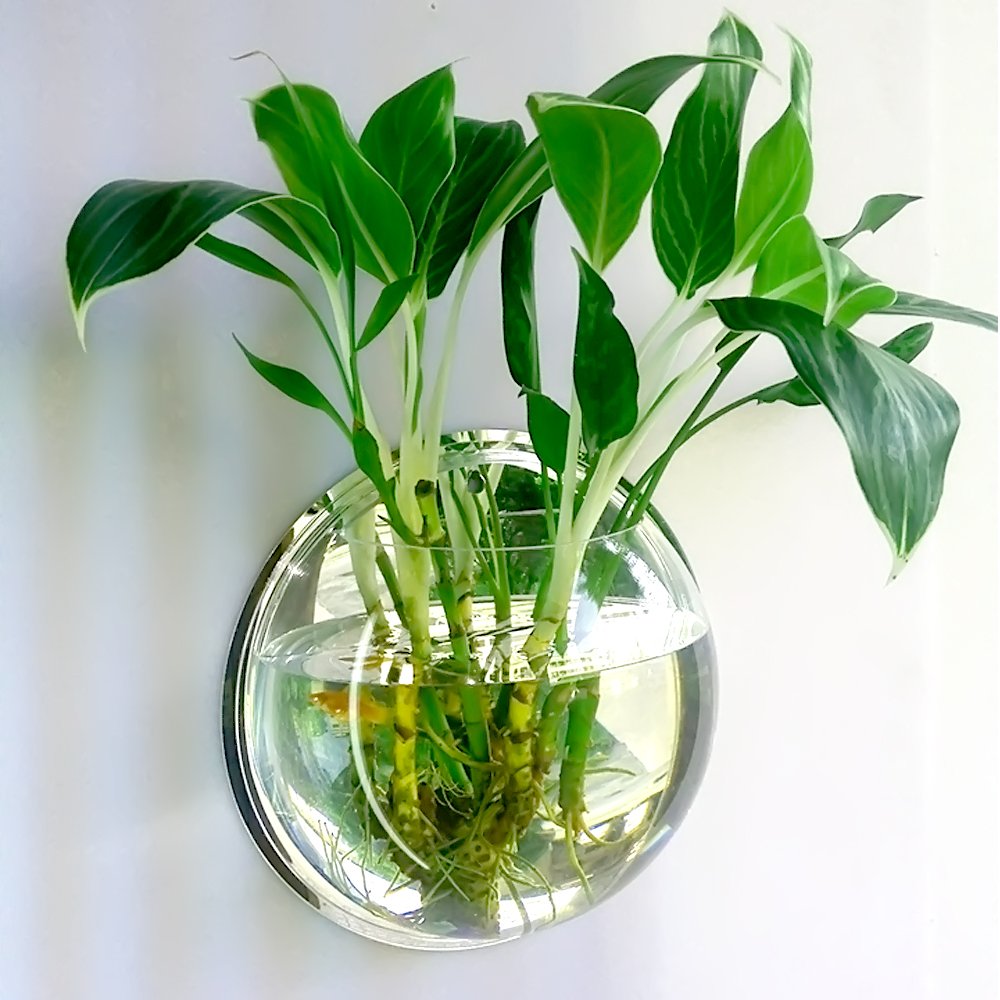 Флорариум гравитариум