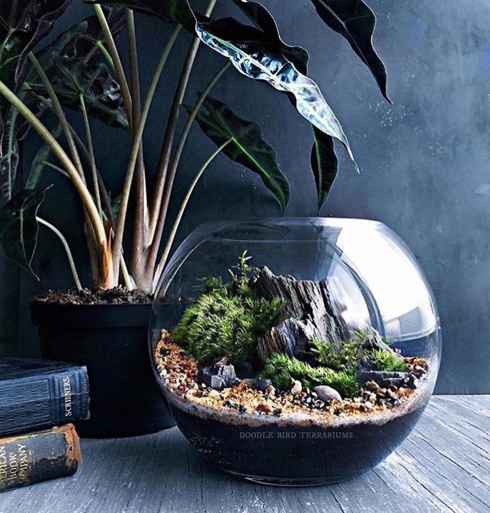 Круглый аквариум скейп