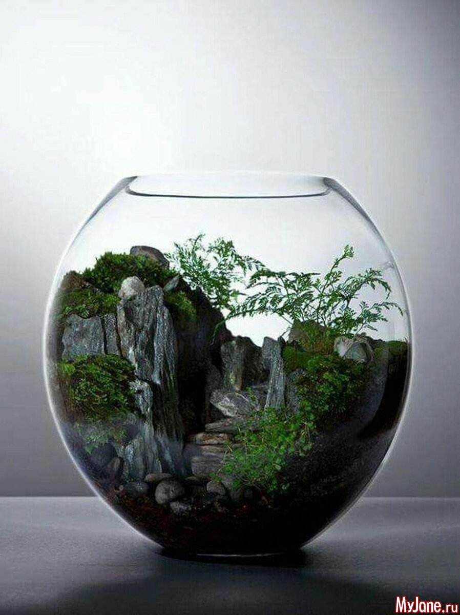 Декоративный круглый аквариум