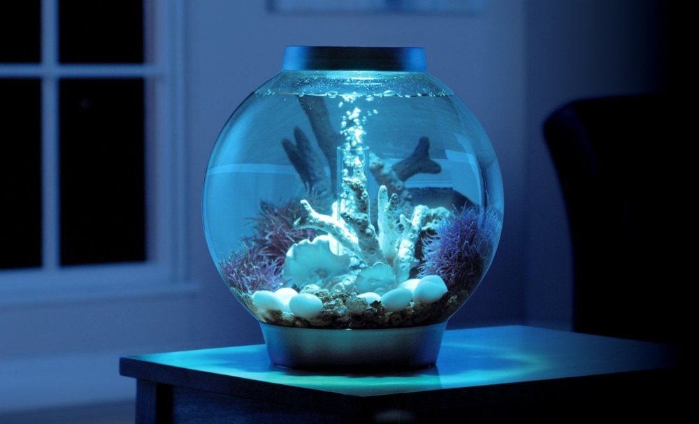 Аквариум BIORB Classic