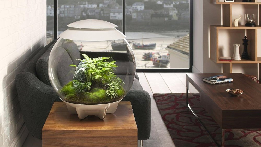 Настенный аквариум