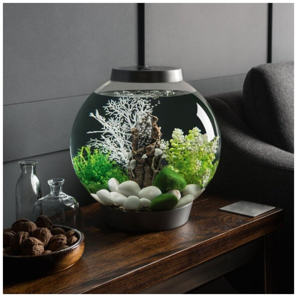 Флорариум мини сад