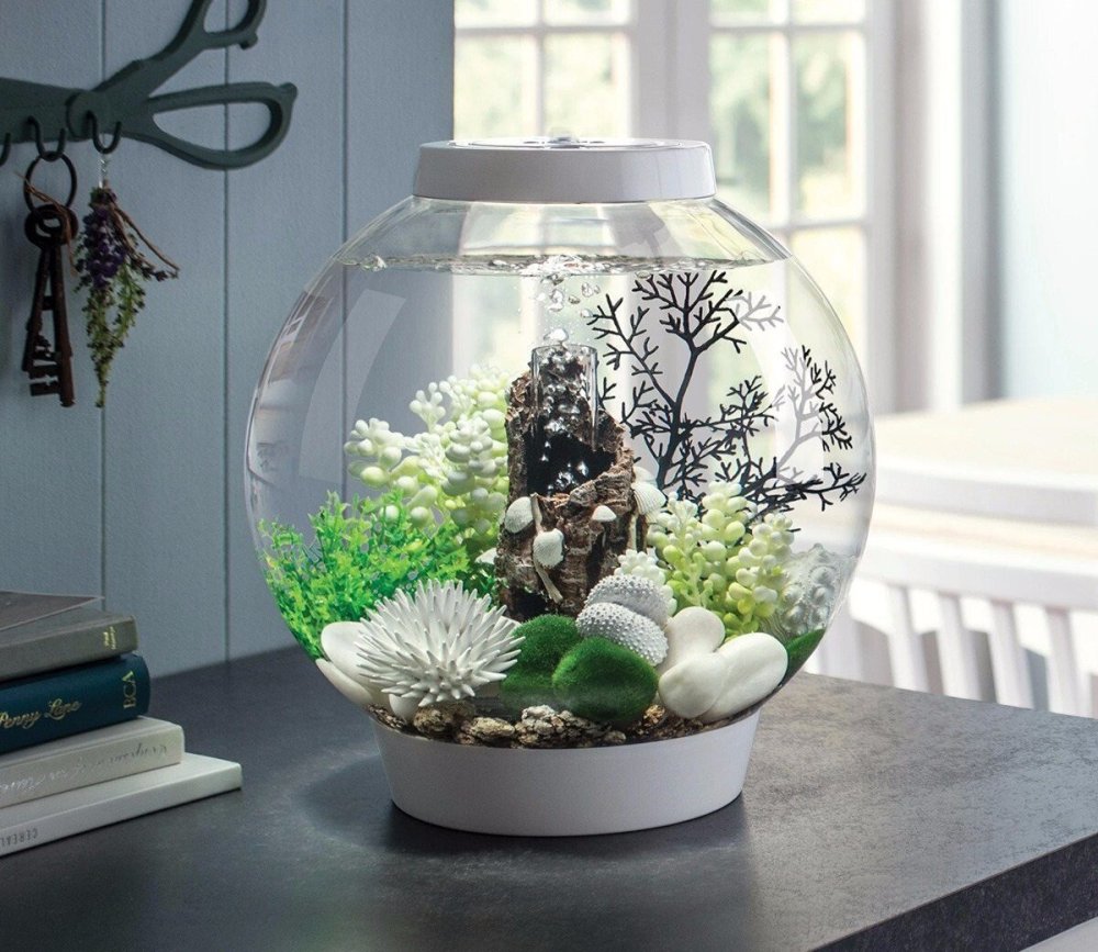 Аквариум бокал акваскейп