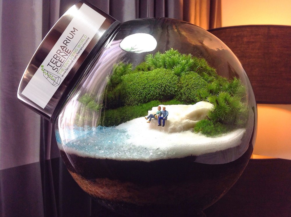 Акваскейп в круглом аквариуме