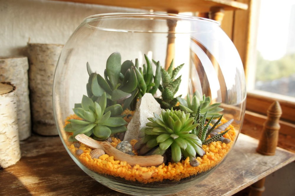 Аквариум настенный круглый