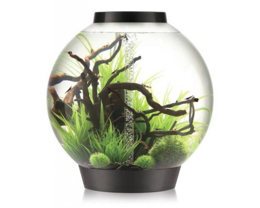 Аквариум BIORB Halo 30