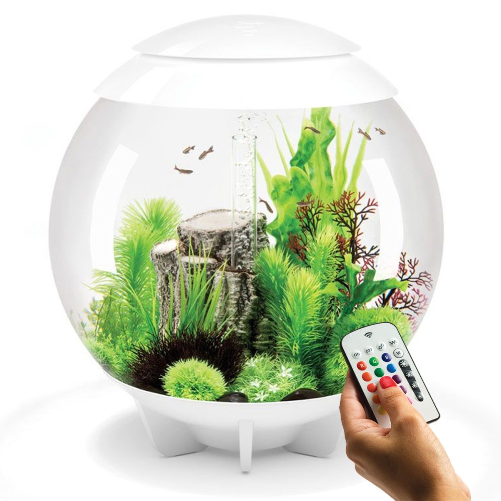 Флорариум скалы