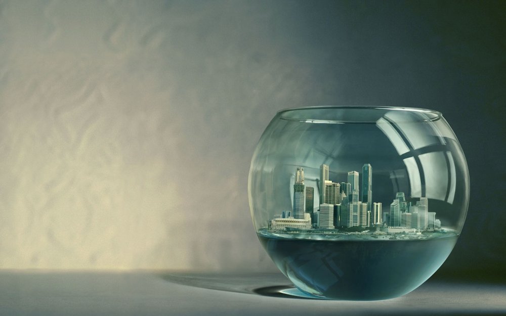 Флорариум гравитариум