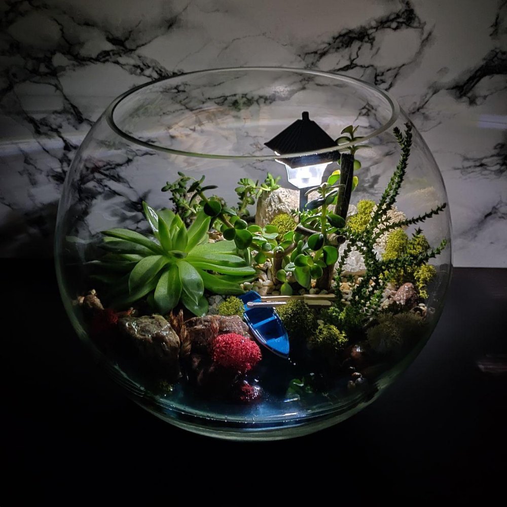 Terrarium Moss террариумный мох