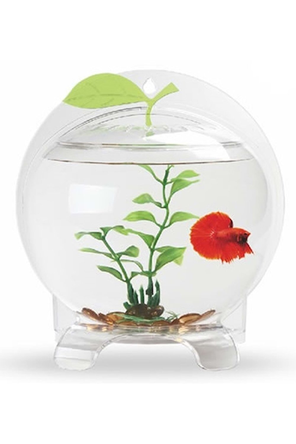 Ландшафт круглого аквариума