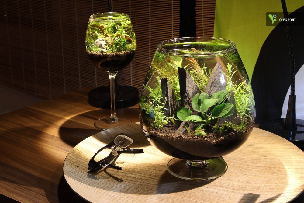 Флорариум с цикламеном