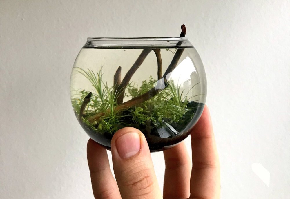 Аквариум арт Минимализм