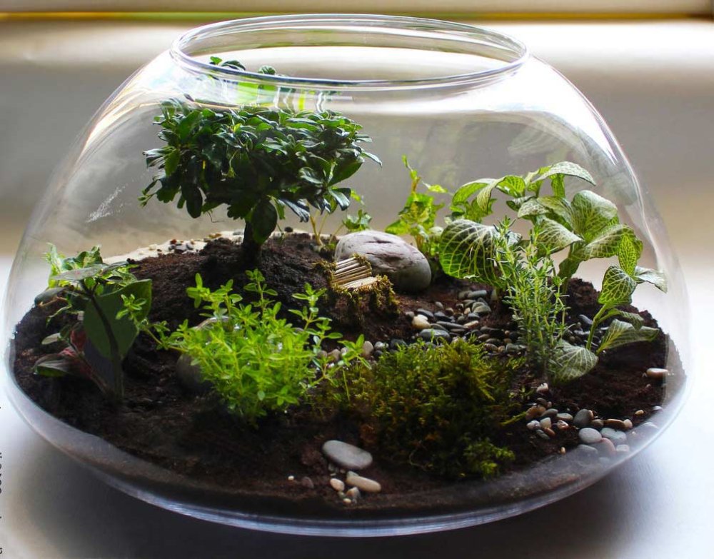 Круглый аквариум