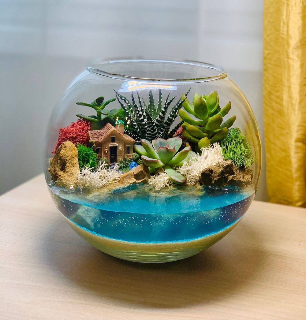 Флорариум с суккулентами и мхом