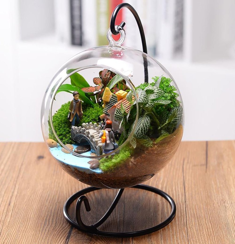 Золотая рыбка в круглом аквариуме